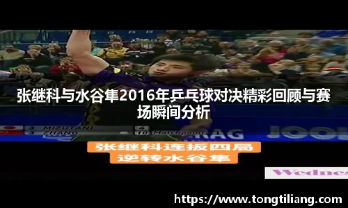张继科与水谷隼2016年乒乓球对决精彩回顾与赛场瞬间分析